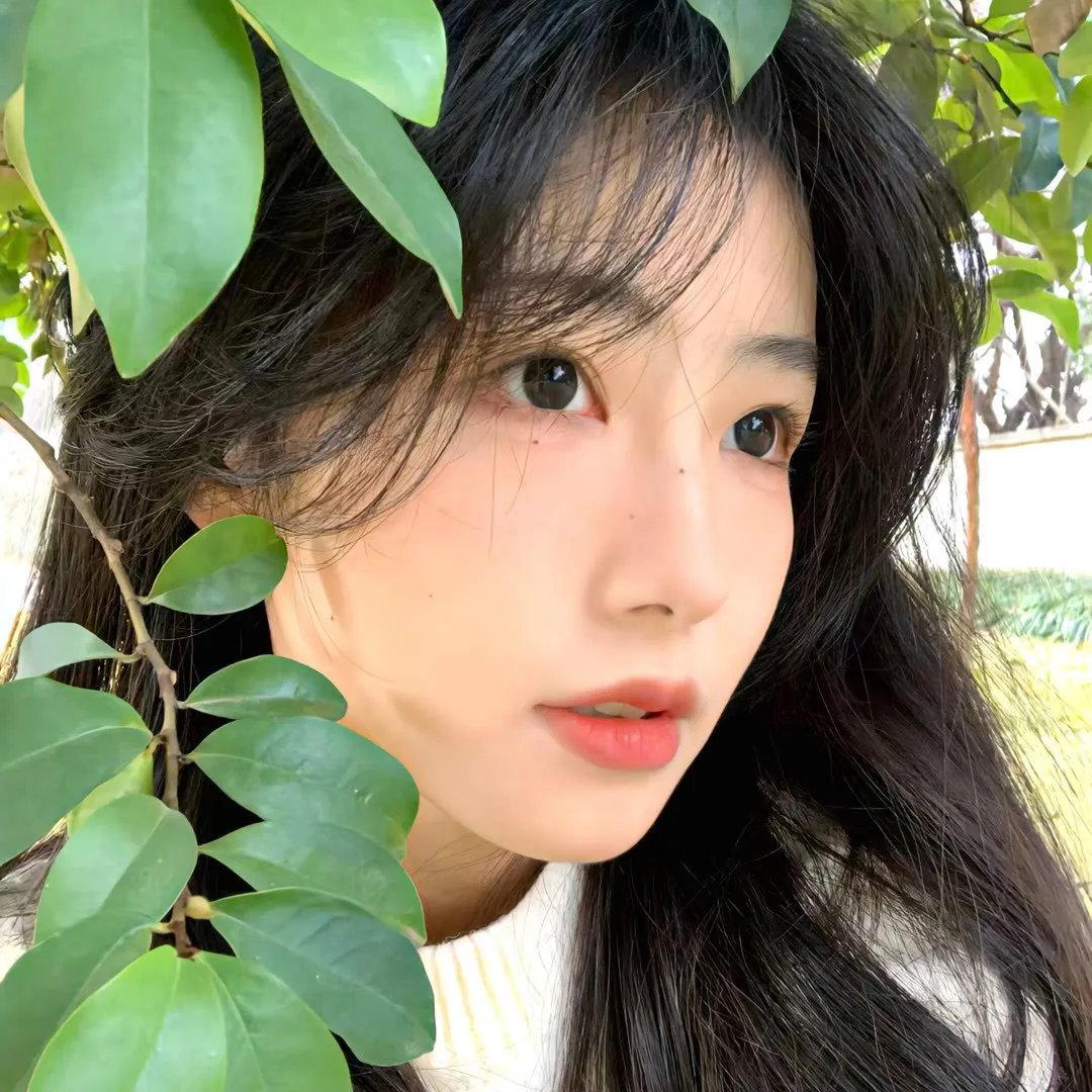 纽泽西爱未眠