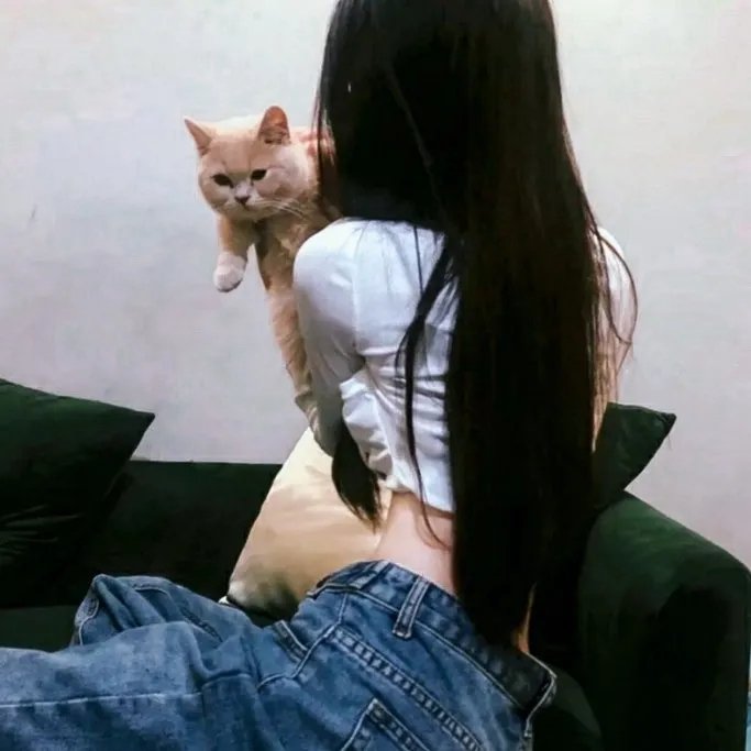 秋菊打官司
